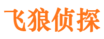 武进侦探公司